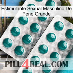 Big Penis Male Sexual Stimulant dapoxetine2